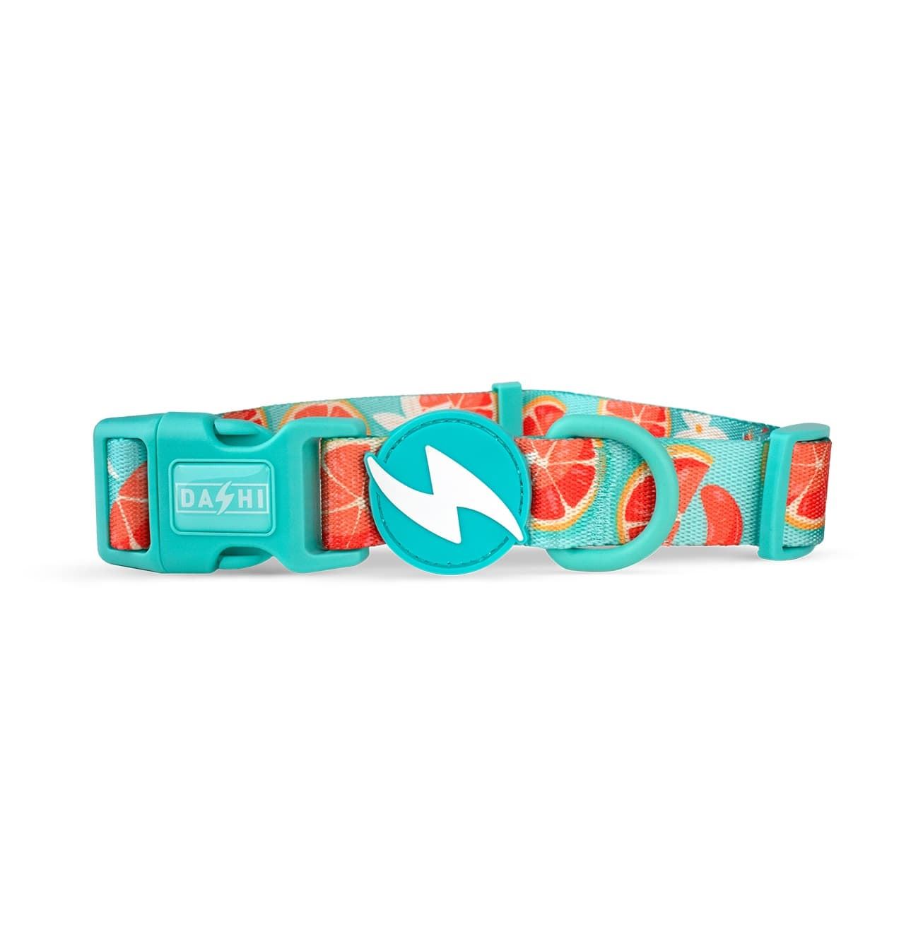 COLLAR PARA PERROS ECO CARIBE - Imagen 1