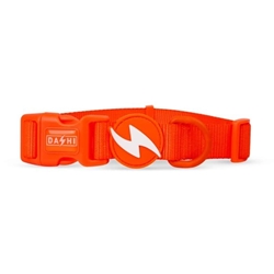 COLLAR PARA PERROS NEON ORANGE - Imagen 1
