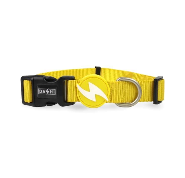 COLLAR PARA PERROS SOLID BLACK - Imagen 1