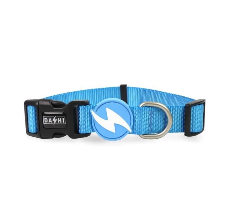 COLLAR PARA PERROS SOLID SKY BLUE - Imagen 1